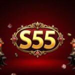 S55 Game