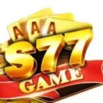 S77 Game