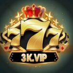 3K VIP Game
